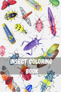 Insect Coloring Book