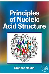 Principles of Nucleic Acid Structure