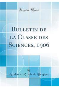 Bulletin de la Classe Des Sciences, 1906 (Classic Reprint)