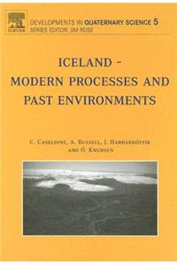 Iceland - Modern Processes and Past Environments: Volume 5