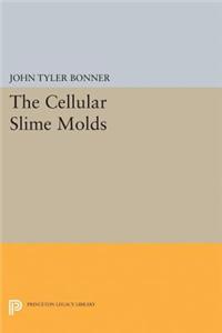 Cellular Slime Molds