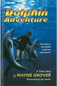 Dolphin Adventure