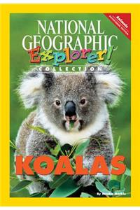Explorer Books (Pathfinder Science: Animals): Koalas