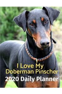 I Love My Doberman Pinscher