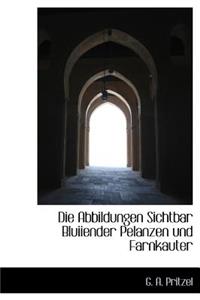 Die Abbildungen Sichtbar Bluiiender Pelanzen Und Farnkauter