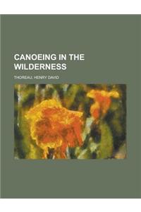 Canoeing in the Wilderness