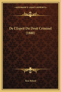 De L'Esprit Du Droit Criminel (1880)