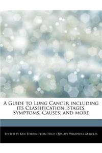 A Guide to Lung Cancer Including Its Classification, Stages, Symptoms, Causes, and More