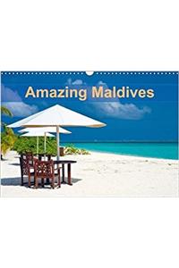 Amazing Maldives 2018