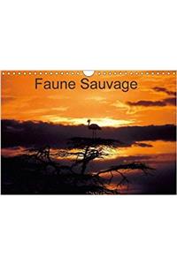 Faune Sauvage 2018