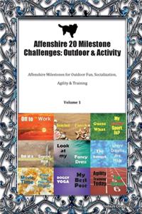 Affenshire 20 Milestone Challenges