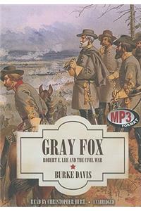 Gray Fox
