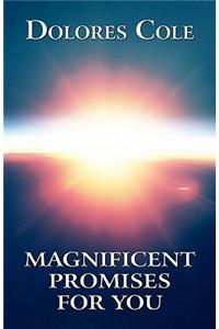 Magnificent Promises for You