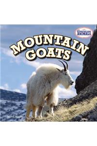 Mountain Goats