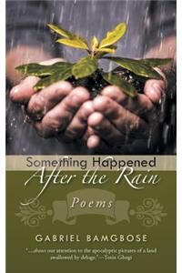 Something Happened After the Rain