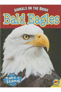 Bald Eagles