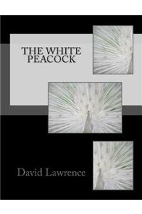 White Peacock