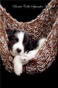 Border Collie September Notebook Border Collie Record, Log, Diary, Special Memories, To Do List, Academic Notepad, Scrapbook & More