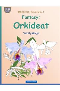 BROCKHAUSEN Värityskirja Vol. 3 - Fantasy