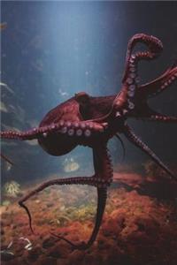 Giant Octopus Journal