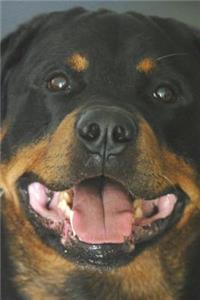 Say Hello to the Rottweiler Journal