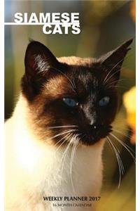 Siamese Cats Weekly Planner 2017