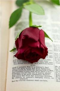 An Elegant Red Rose on a Book of Poetry Journal