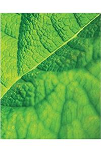 Leaf Veins Painted Notebook