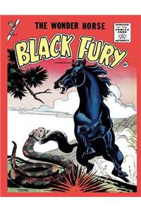 Black Fury # 7
