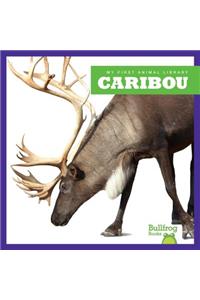 Caribou