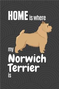 Home is where my Norwich Terrier is