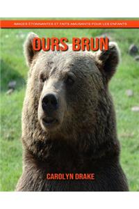 Ours Brun