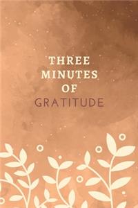 Three Minutes Of Gratitude