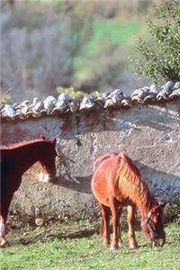 2020 Daily Planner Horse Photo Equine Horses Pasture 388 Pages