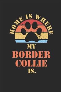 Border Collie