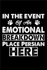 In The Event Emotional Breakdown Place Persian Here