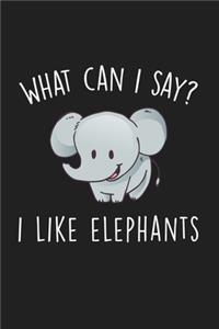 What Can I Say I Like Elephants