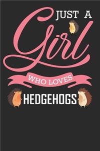 Hedgehog Journal Notebook