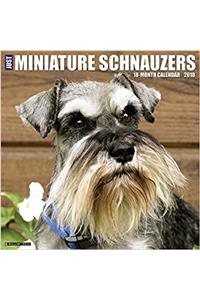Just Miniature Schnauzers 2018 Wall Calendar