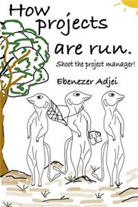How projects are run