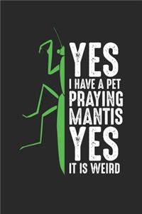 Yes I Have A Pet Praying Mantis Yes It Is Weird