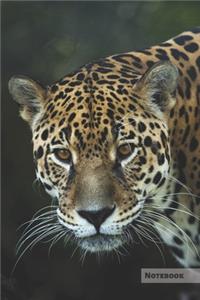Jaguar Notebook