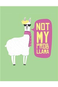 Not My Prob Llama Notebook