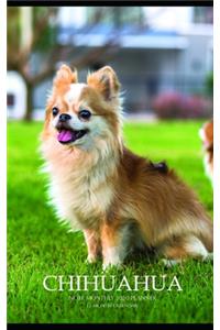 Chihuahua Note Monthly 2020 Planner 12 Month Calendar