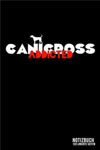 Canicross addicted