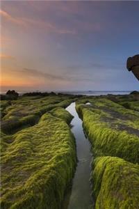 Moss Covered Beach Cothach in Vietnam Journal