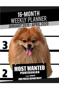2019-2020 Weekly Planner - Most Wanted Beagle Pomeranian