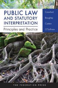 Public Law and Statutory Interpretation