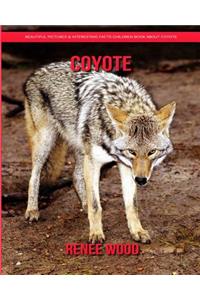 Coyote