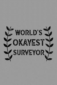 World's Okayest Surveyor